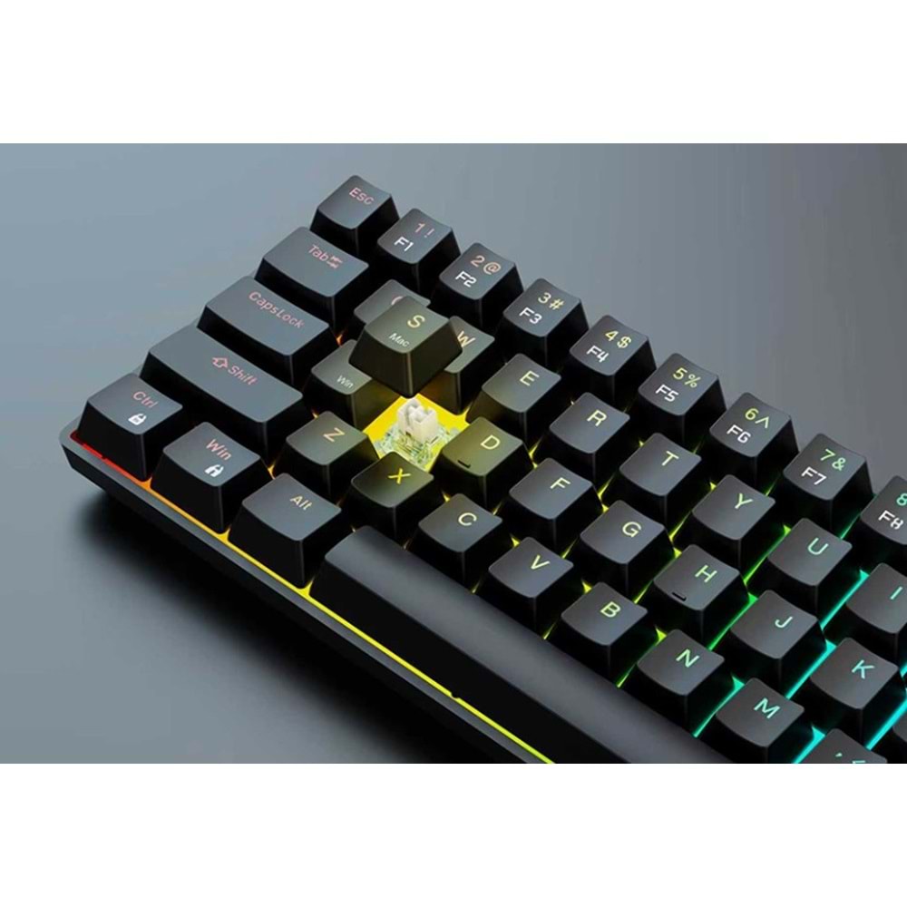 GAMEPOWER NEXA HE60 1K RGB KABLOLU HALL-EFFECT MANYETİK SWİTCH KABLOLU GAMİNG KLAVYE SİYAH