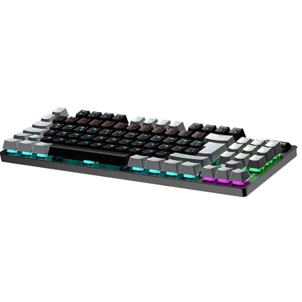 GAMEPOWER EVA 5 RED SWİTCH 88 TUŞ USB RGB GAMİNG KLAVYE