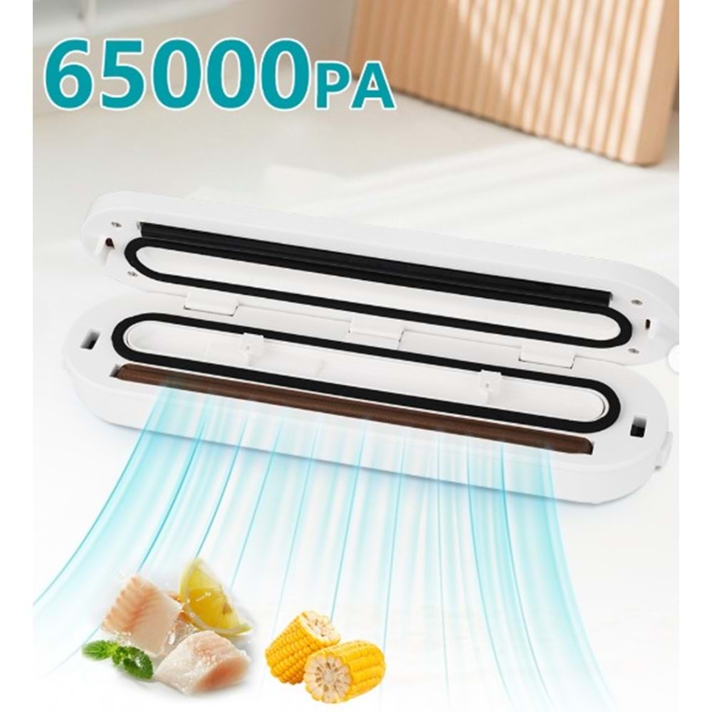 WİNNİNG STAR ZI ST-6300 80W VAKUM PAKETLEME CİHAZI