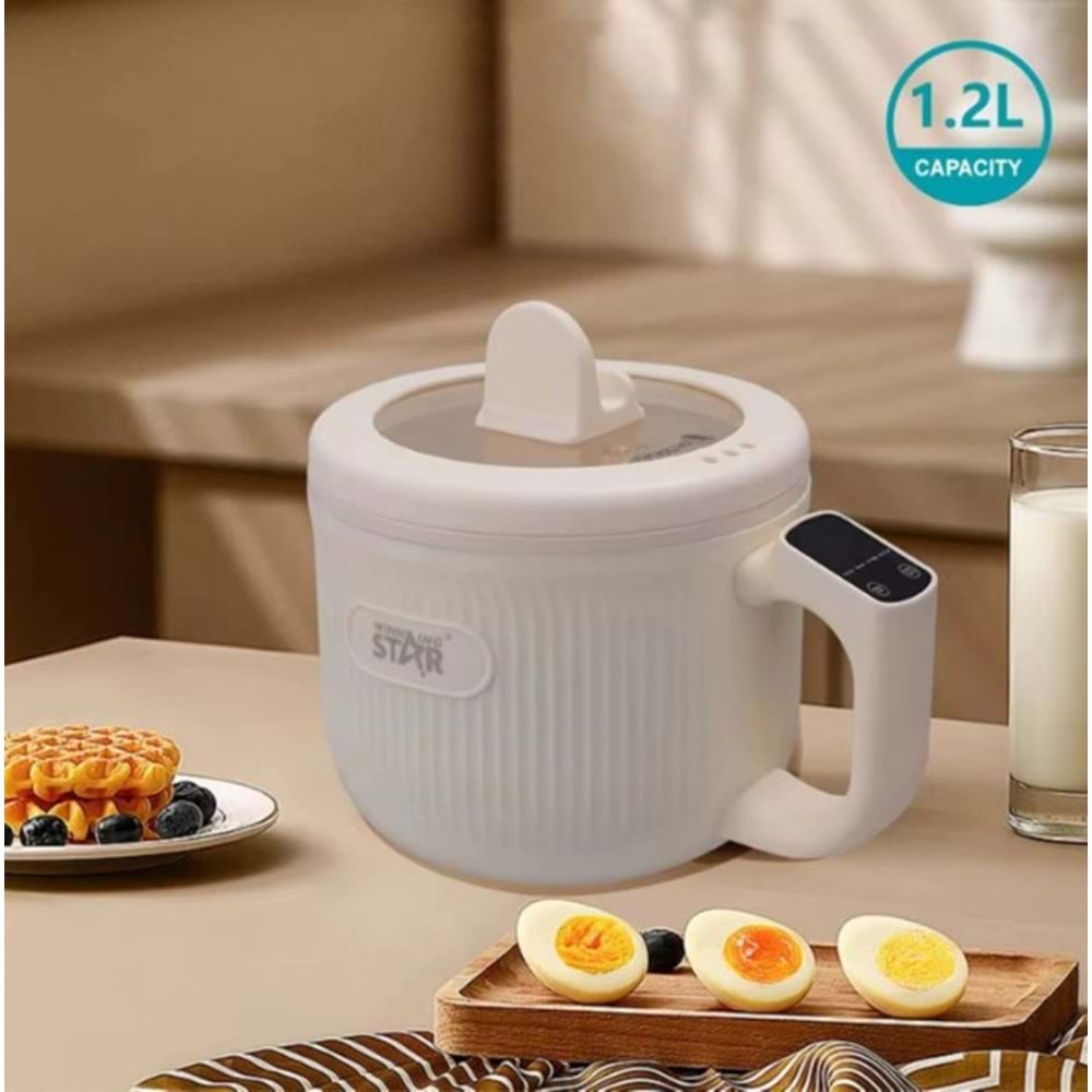 WİNNİNG STAR ST-9840 ELEKTRİKLİ TENCERE