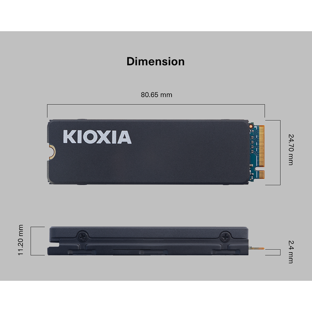 KİOXİA EXCERİA LSC11K1T02G8 1TB NVME SSD
