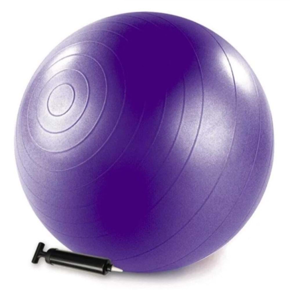 CAN SPOR PİLATES TOPU 65CM POMPA HEDİYELİ