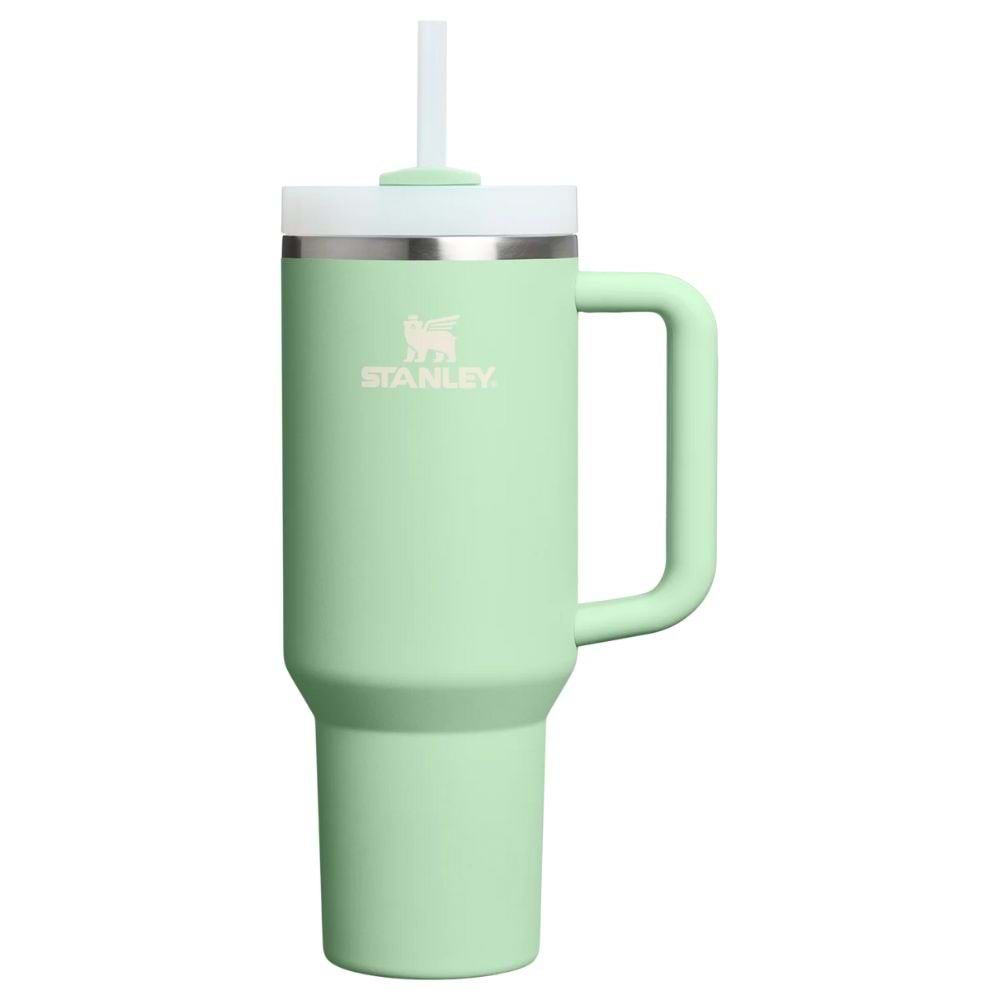 STANLEY QUENCHER 20 OZ 0.59 LİTRE PİSTACHİO