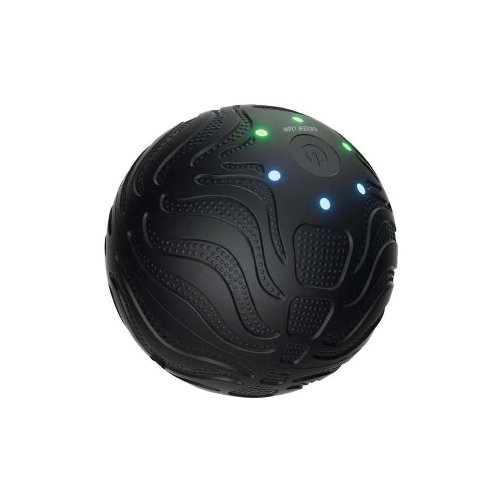 GREEN LİON MASAJ TOPU - SİYAH GNMABALLBK