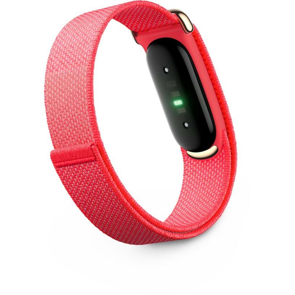 GOOGLE FITBIT AIR BERRY