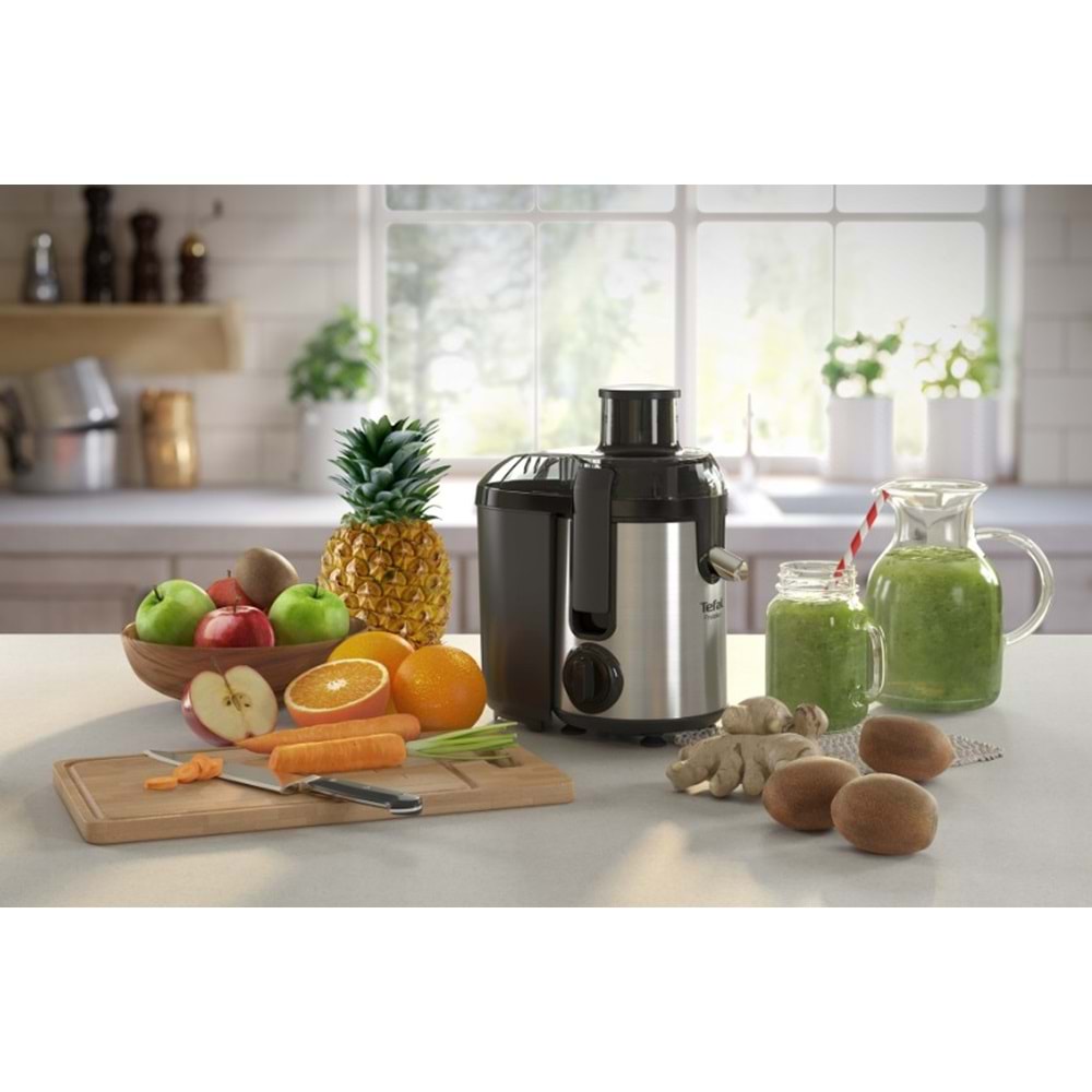 TEFAL ZE420D38 FRUTELIA PLUS 400W KATI MEYVE SIKACAĞI - GÜMÜŞ/GRİ