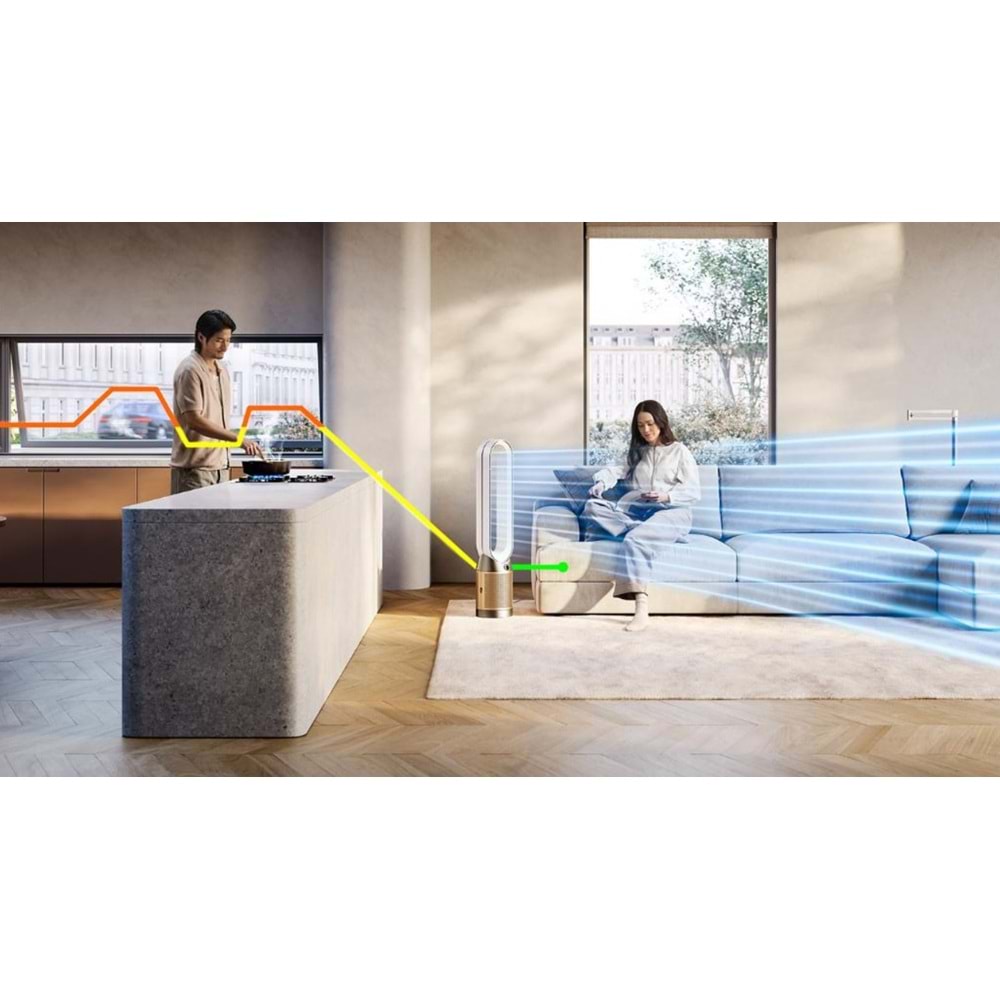 DYSON PURİFİER COOL PC2 DE-NOx TP12 (WHİTE/GOLD)