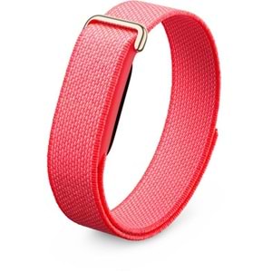 GOOGLE FITBIT AIR BERRY