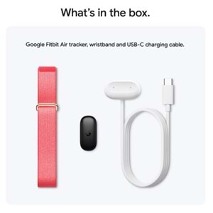 GOOGLE FITBIT AIR BERRY