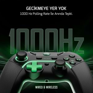 GAMEPOWER VITRUS HALL EFFECT JOYSTICK KABLOSUZ GAMING GAMEPAD - SİYAH (2.4G / BLUETOOTH)