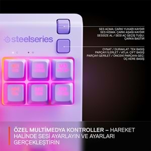 STEELSERIES APEX 3 TKL RGB AYDINLATMALI SUYA DAYANIKLI SESSİZ TÜRKÇE Q GAMING OYUNCU KLAVYESİ - LAVENDER