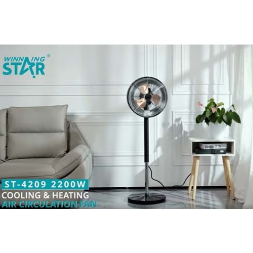 WİNNİNG STAR SICAK VE SOĞUK HAVA VANTİLATÖRÜ ST-4209