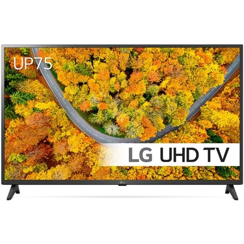 LG 55