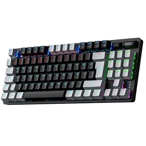 GAMEPOWER EVA 5 RED SWİTCH 88 TUŞ USB RGB GAMİNG KLAVYE