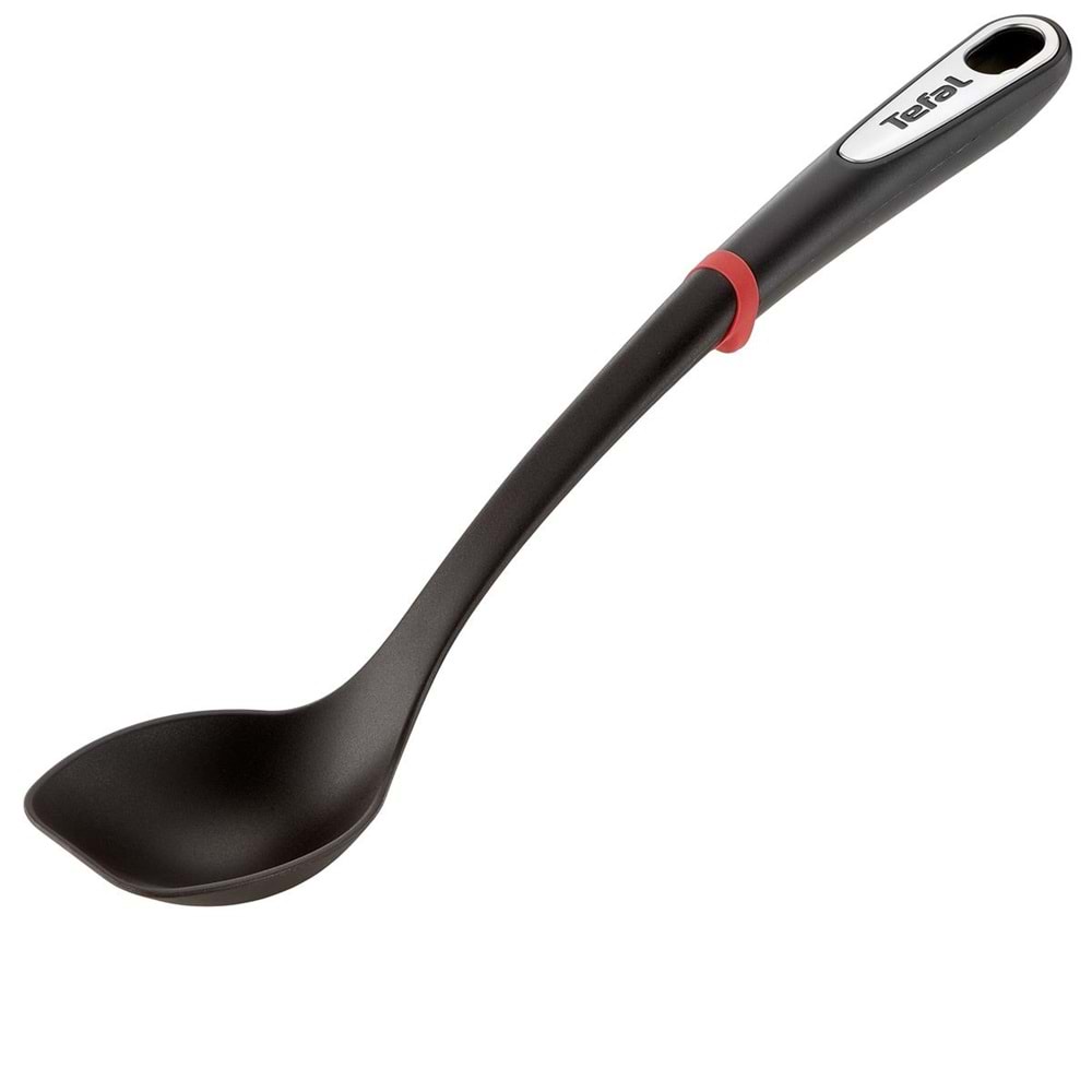 TEFAL İNGENİO KAŞIK 2100087323